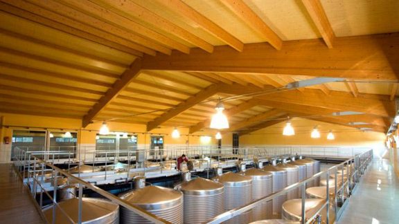 Bodega Martín Codax