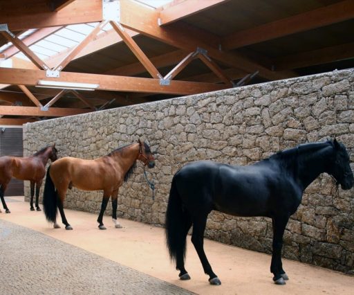 Equinaturi Clube Equestre