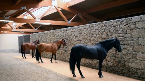 Equinaturi Clube Equestre